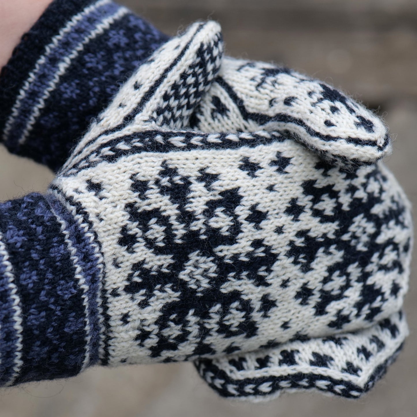 Eastwind mittens