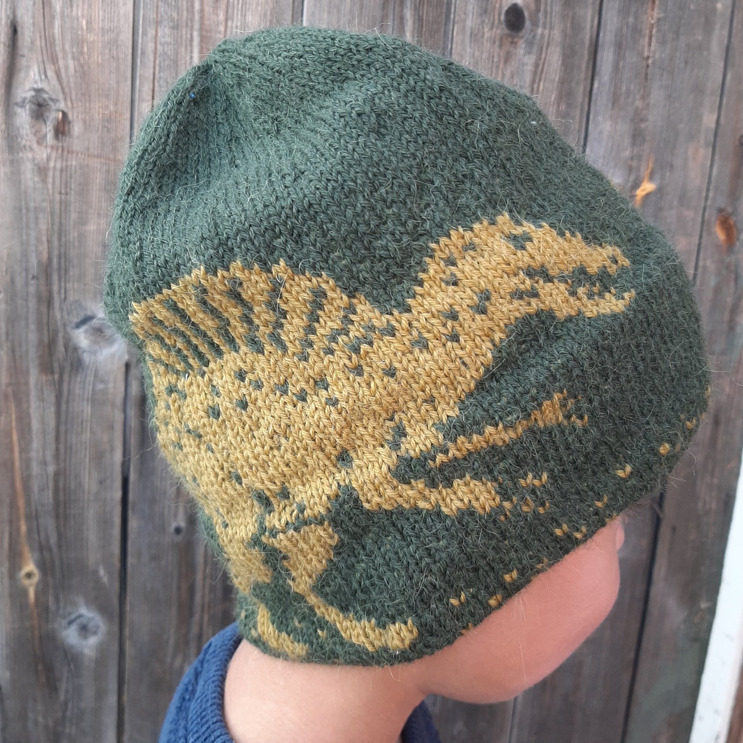 Spinosaurus dinosaurlue
