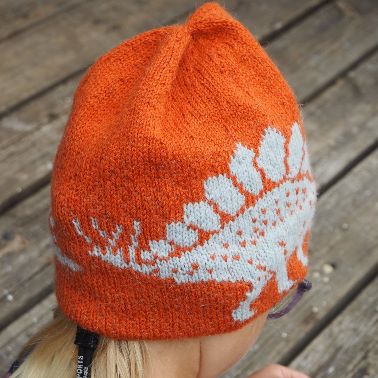 Stegosaurus dinosaur hat